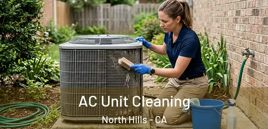  AC Unit Cleaning North Hills - CA